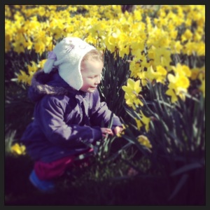 Sniffing Daffodils